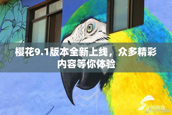 樱花9.1版本全新上线，众多精彩内容等你体验