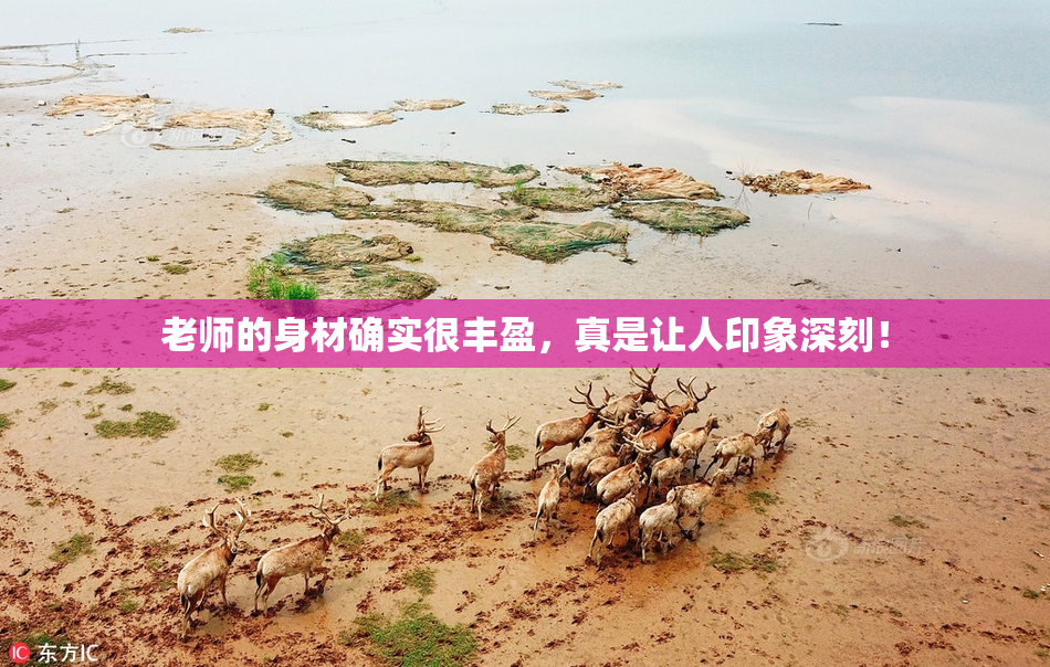 老师的身材确实很丰盈，真是让人印象深刻！