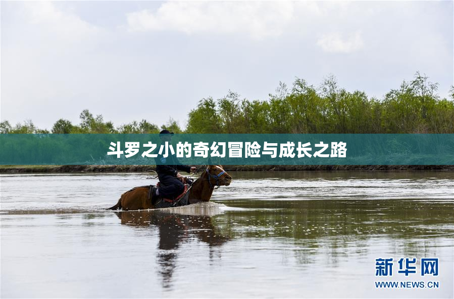 斗罗之小的奇幻冒险与成长之路