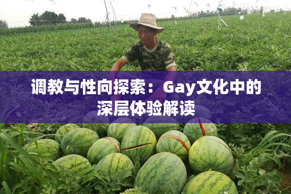调教与性向探索：Gay文化中的深层体验解读