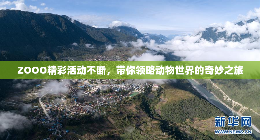 ZOOO精彩活动不断，带你领略动物世界的奇妙之旅