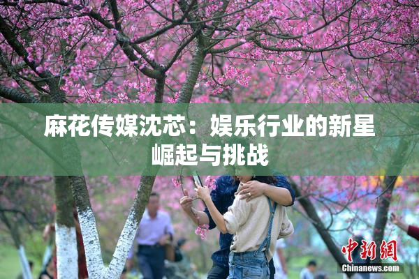 麻花传媒沈芯：娱乐行业的新星崛起与挑战