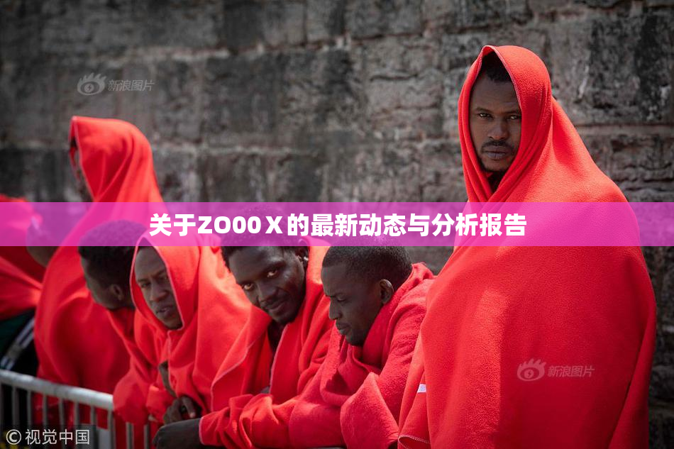 关于ZO00Ⅹ的最新动态与分析报告