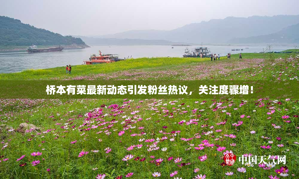 桥本有菜最新动态引发粉丝热议，关注度骤增！