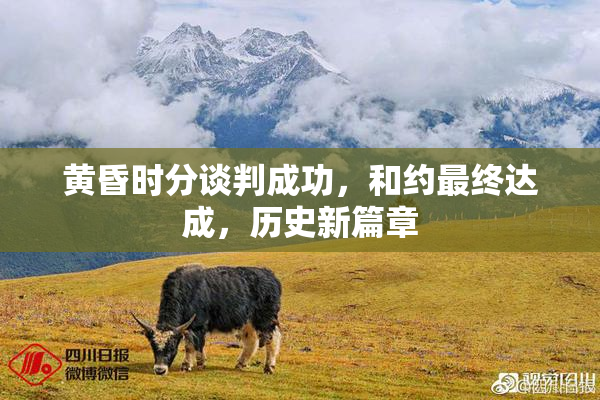 黄昏时分谈判成功，和约最终达成，历史新篇章
