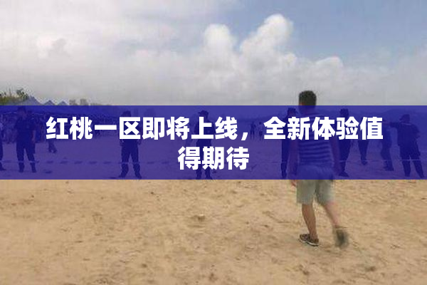 红桃一区即将上线，全新体验值得期待