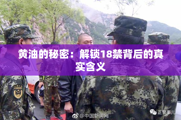 黄油的秘密：解锁18禁背后的真实含义