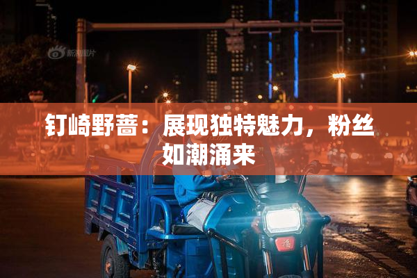 钉崎野蔷：展现独特魅力，粉丝如潮涌来
