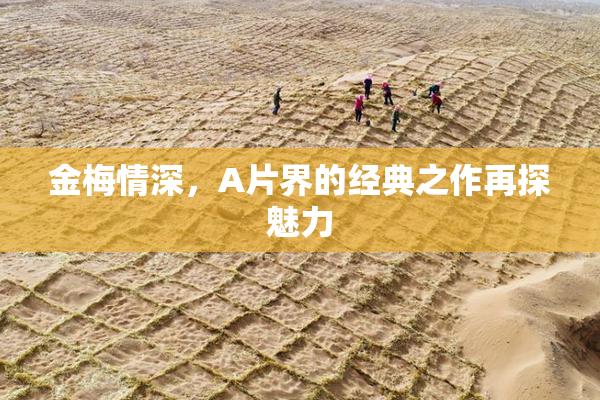 金梅情深，A片界的经典之作再探魅力