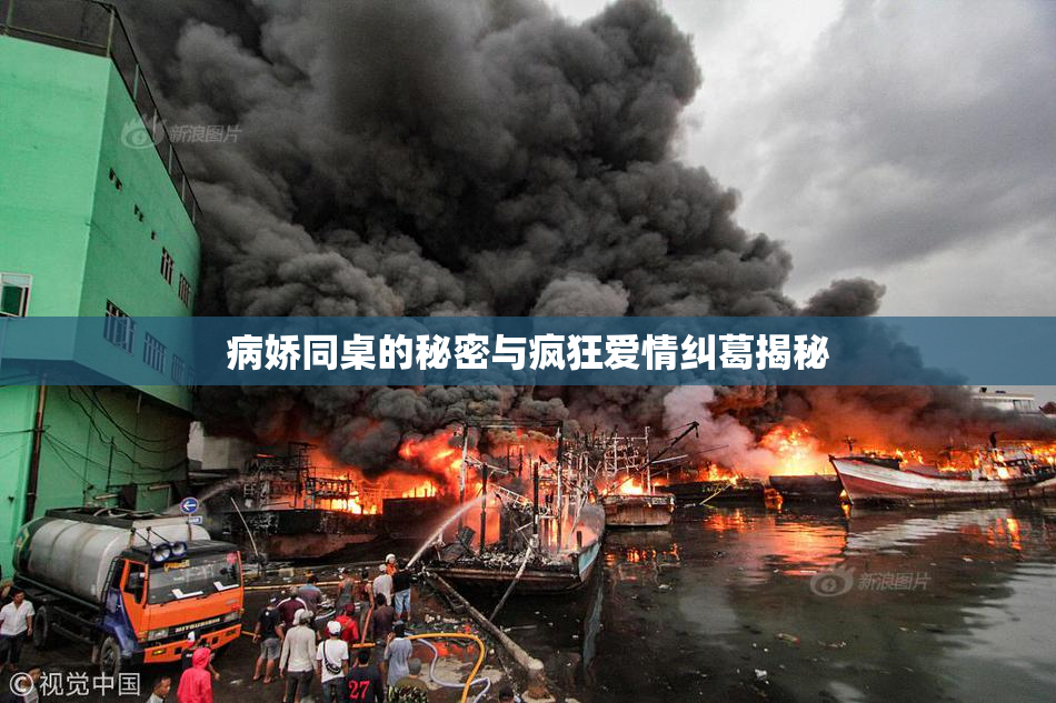 病娇同桌的秘密与疯狂爱情纠葛揭秘
