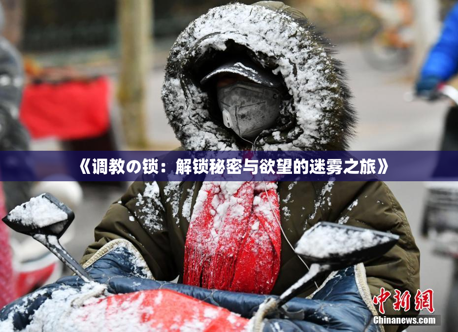 《调教の锁：解锁秘密与欲望的迷雾之旅》