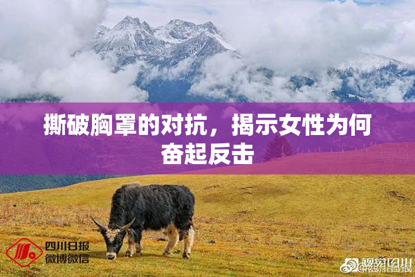 撕破胸罩的对抗，揭示女性为何奋起反击