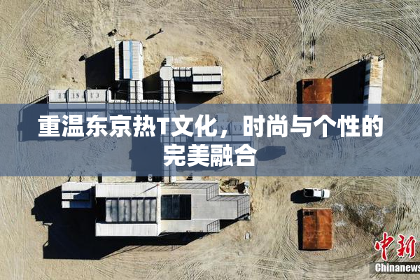 重温东京热T文化，时尚与个性的完美融合