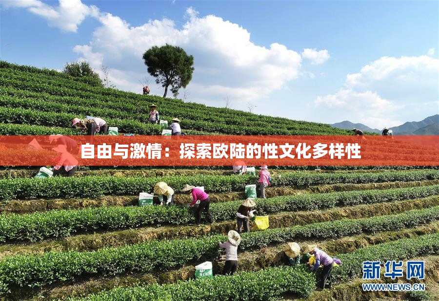 自由与激情：探索欧陆的性文化多样性