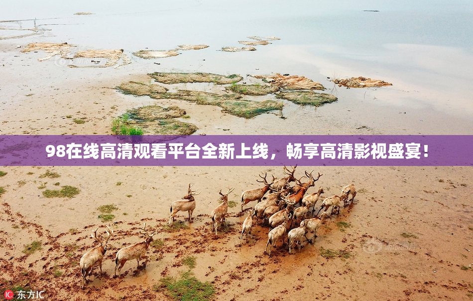 98在线高清观看平台全新上线，畅享高清影视盛宴！