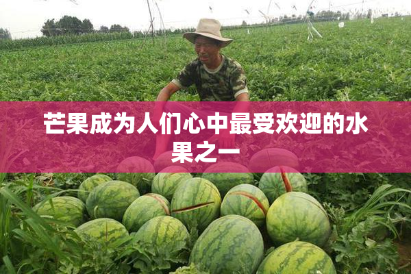 芒果成为人们心中最受欢迎的水果之一