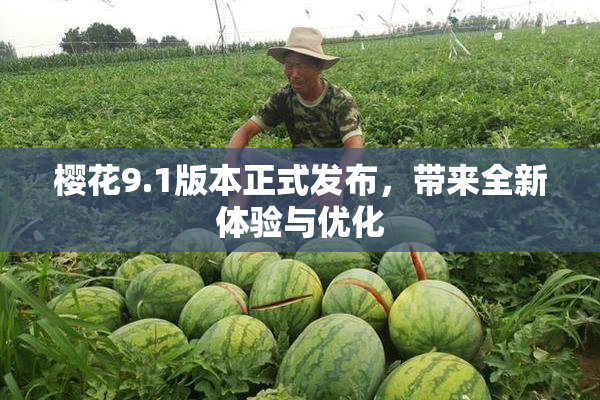 樱花9.1版本正式发布，带来全新体验与优化