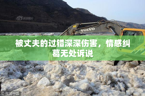 被丈夫的过错深深伤害，情感纠葛无处诉说