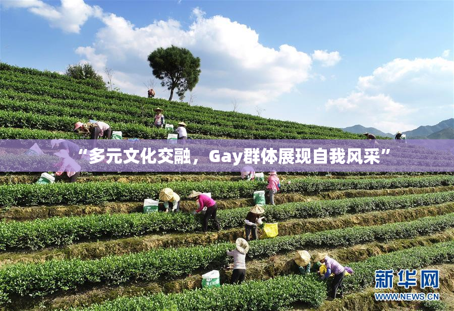 “多元文化交融，Gay群体展现自我风采”