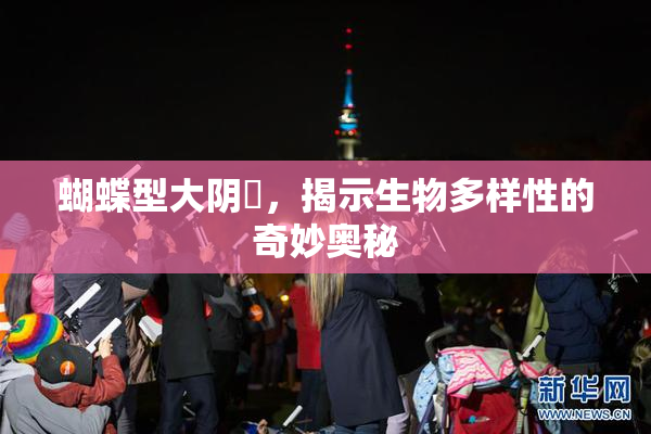 蝴蝶型大阴脣，揭示生物多样性的奇妙奥秘
