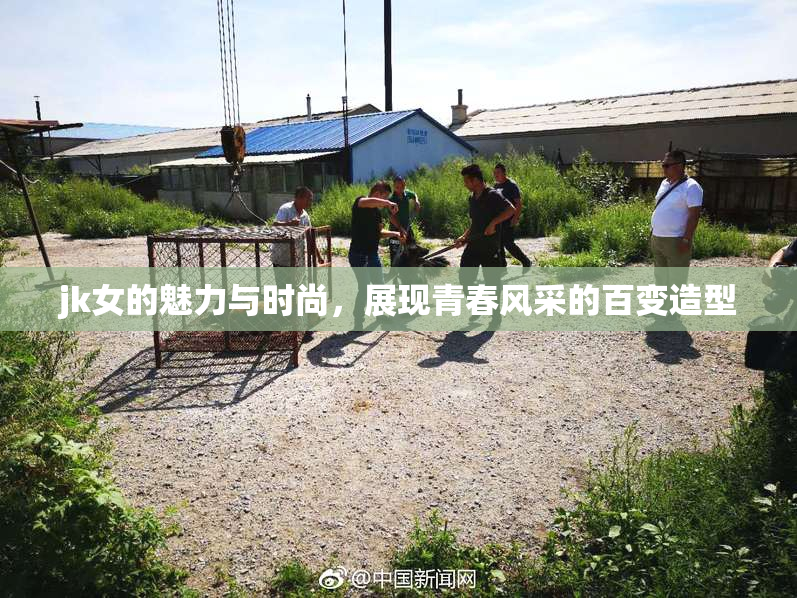 jk女的魅力与时尚，展现青春风采的百变造型