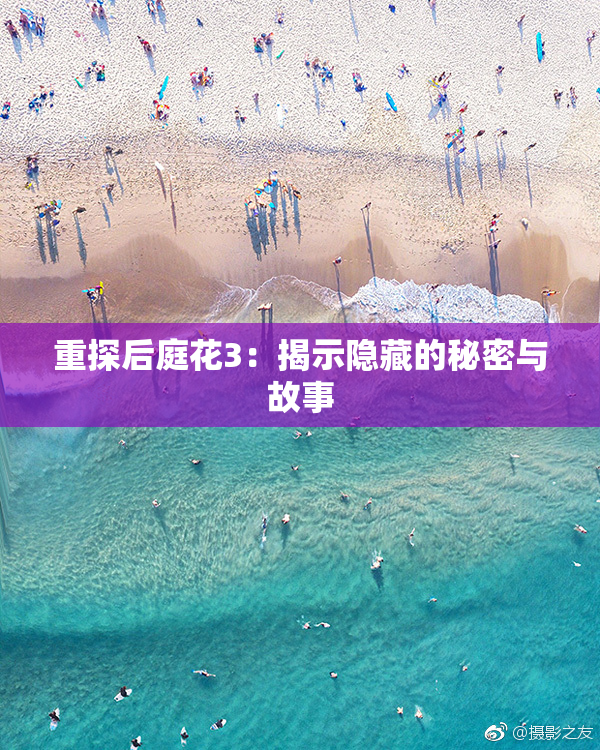 重探后庭花3：揭示隐藏的秘密与故事