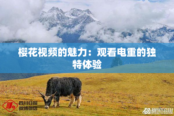 樱花视频的魅力：观看电重的独特体验