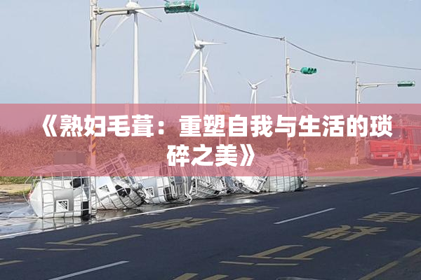 《熟妇毛葺：重塑自我与生活的琐碎之美》