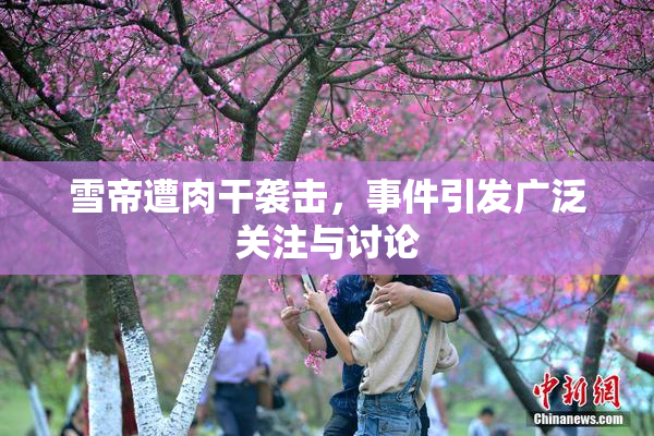 雪帝遭肉干袭击，事件引发广泛关注与讨论