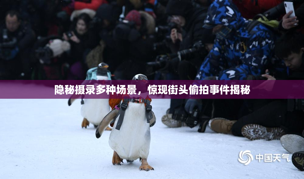 隐秘摄录多种场景，惊现街头偷拍事件揭秘
