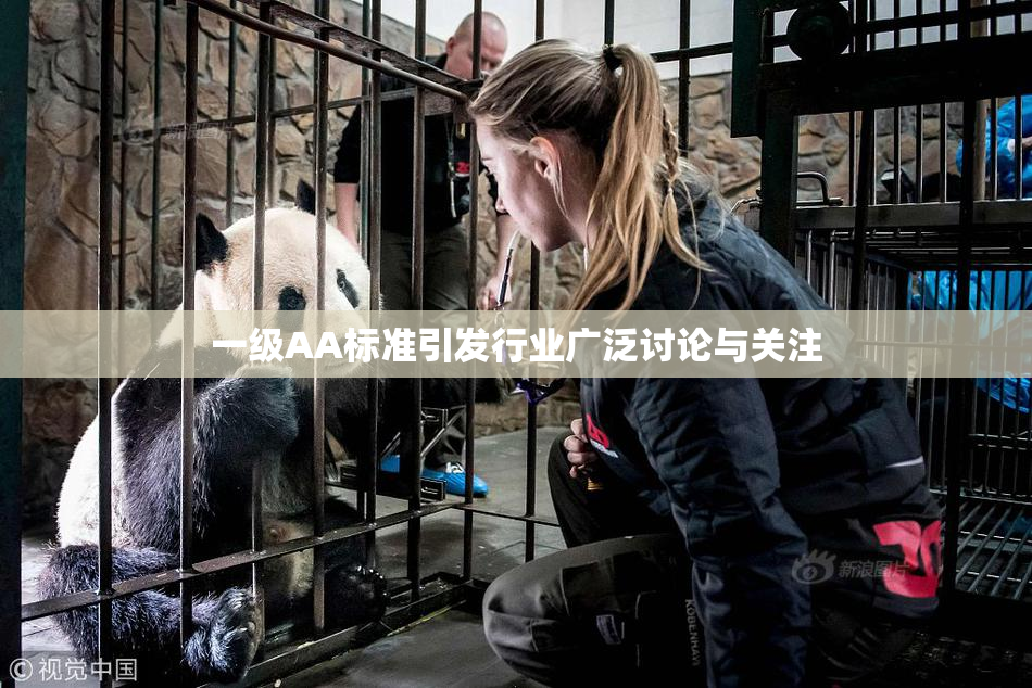 一级AA标准引发行业广泛讨论与关注