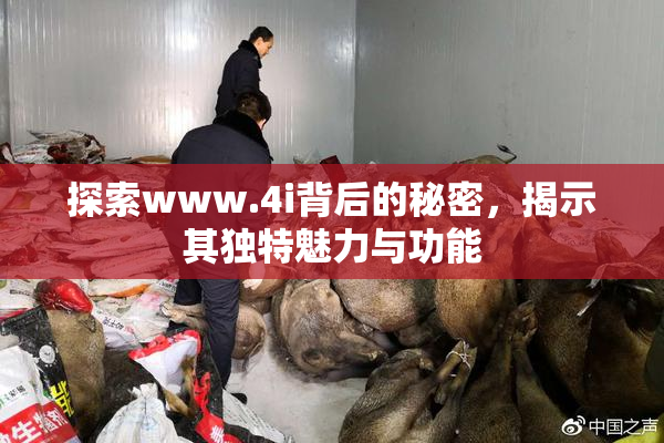 探索www.4i背后的秘密，揭示其独特魅力与功能