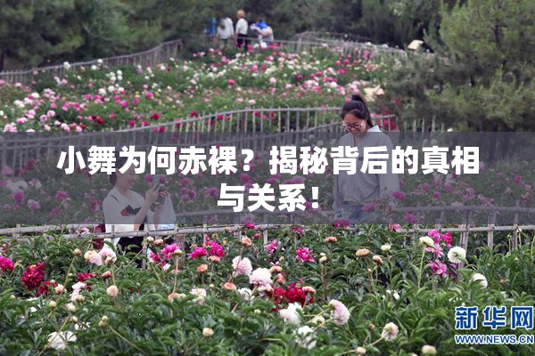 小舞为何赤裸？揭秘背后的真相与关系！