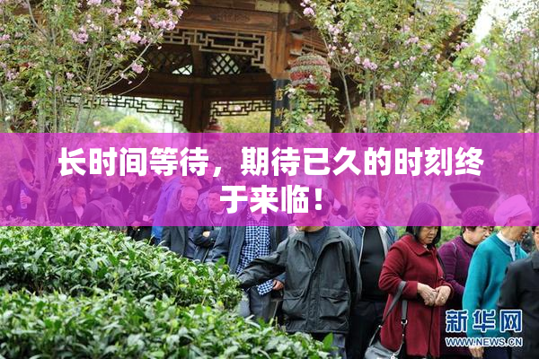 长时间等待，期待已久的时刻终于来临！
