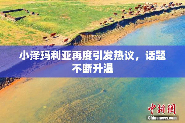 小泽玛利亚再度引发热议，话题不断升温