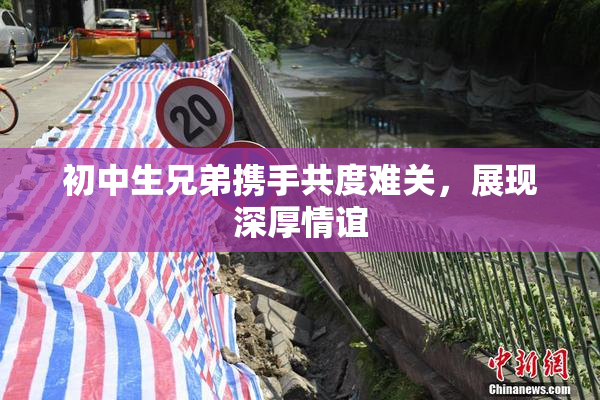 初中生兄弟携手共度难关，展现深厚情谊