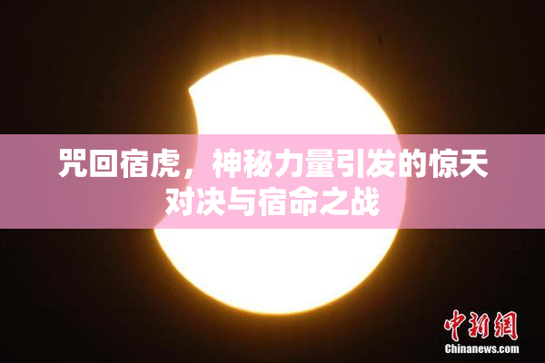 咒回宿虎，神秘力量引发的惊天对决与宿命之战