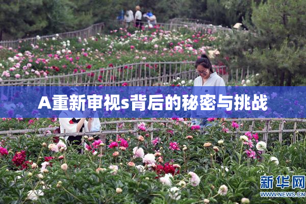 A重新审视s背后的秘密与挑战