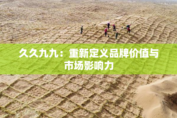 久久九九：重新定义品牌价值与市场影响力