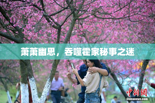 萧萧幽思，吞噬霍家秘事之迷