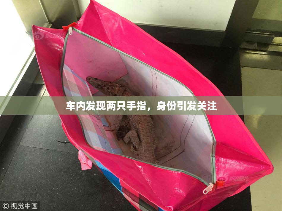 车内发现两只手指，身份引发关注