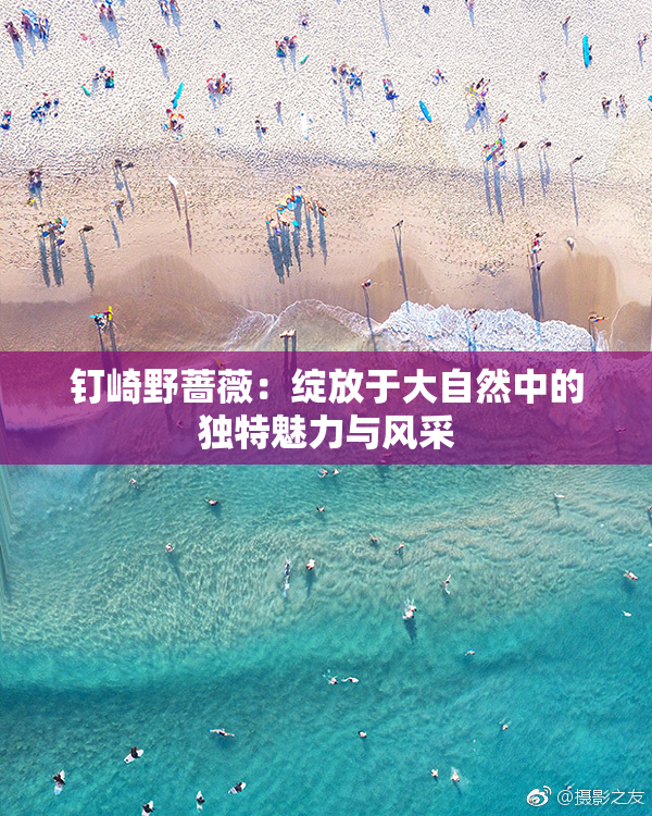 钉崎野蔷薇：绽放于大自然中的独特魅力与风采