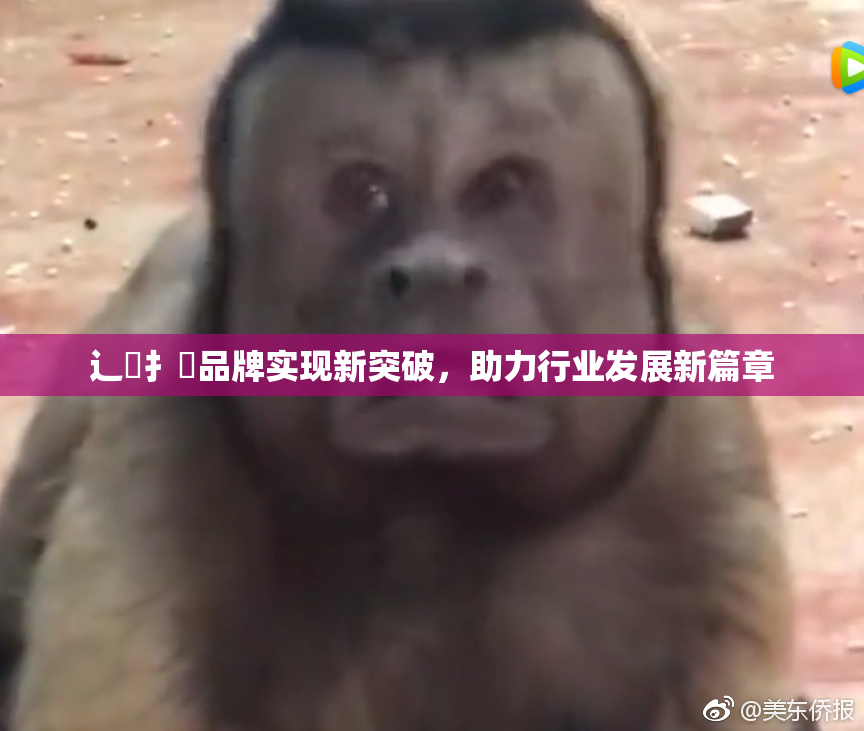辶喿扌畐品牌实现新突破，助力行业发展新篇章