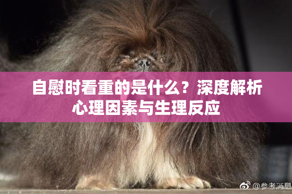 自慰时看重的是什么？深度解析心理因素与生理反应