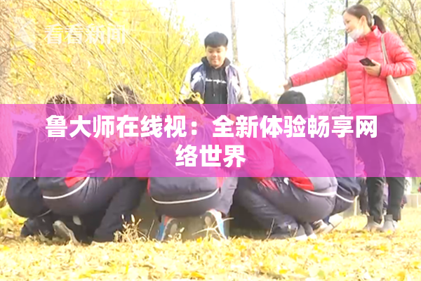 鲁大师在线视：全新体验畅享网络世界