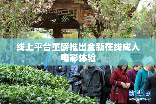 线上平台重磅推出全新在线成人电影体验