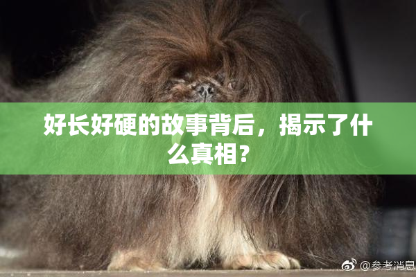 好长好硬的故事背后，揭示了什么真相？