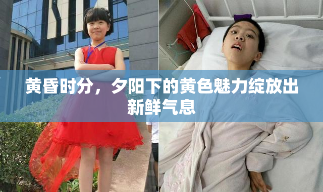 黄昏时分，夕阳下的黄色魅力绽放出新鲜气息