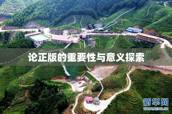 论正版的重要性与意义探索
