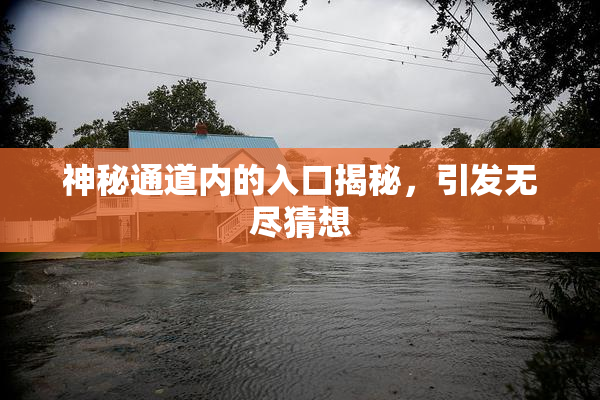 神秘通道内的入口揭秘，引发无尽猜想